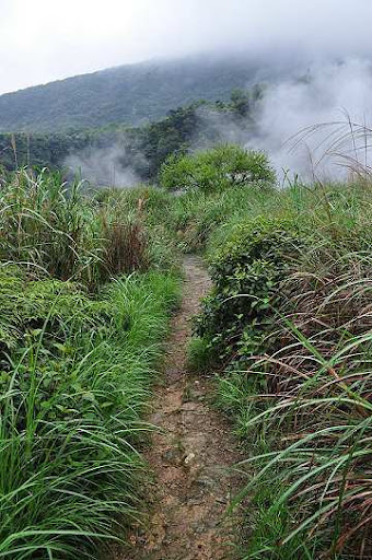 陽明山 登山道 可疑背包 藏有白骨遺骸 3A娛樂城 - TU娛樂城 陽明山 登山道 可疑背包 藏有白骨遺骸 TU娛樂城